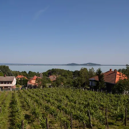 Balatoni Panorama - Bacchus Badacsony Badacsonytomaj