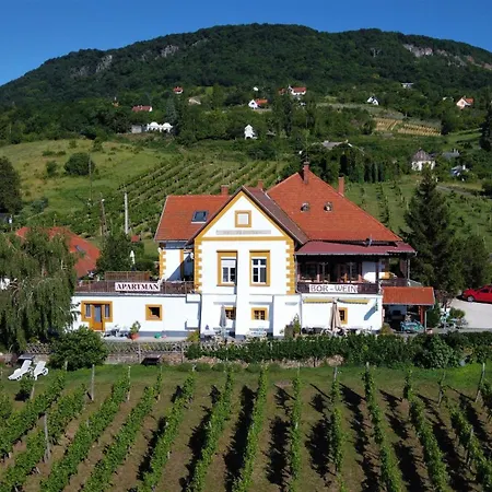 Apartment Balatoni Panorama - Bacchus Badacsony