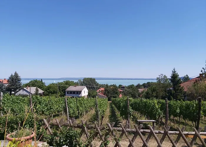 Balatoni Panorama - Bacchus Badacsony Apartment