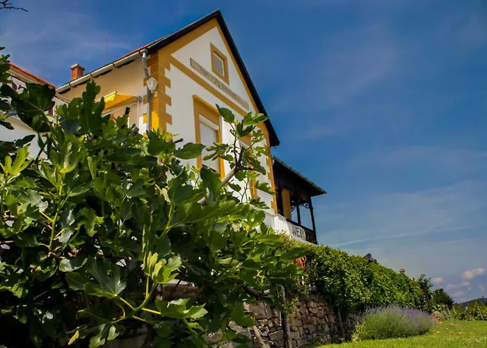 Balatoni Panorama - Bacchus Badacsony Apartment